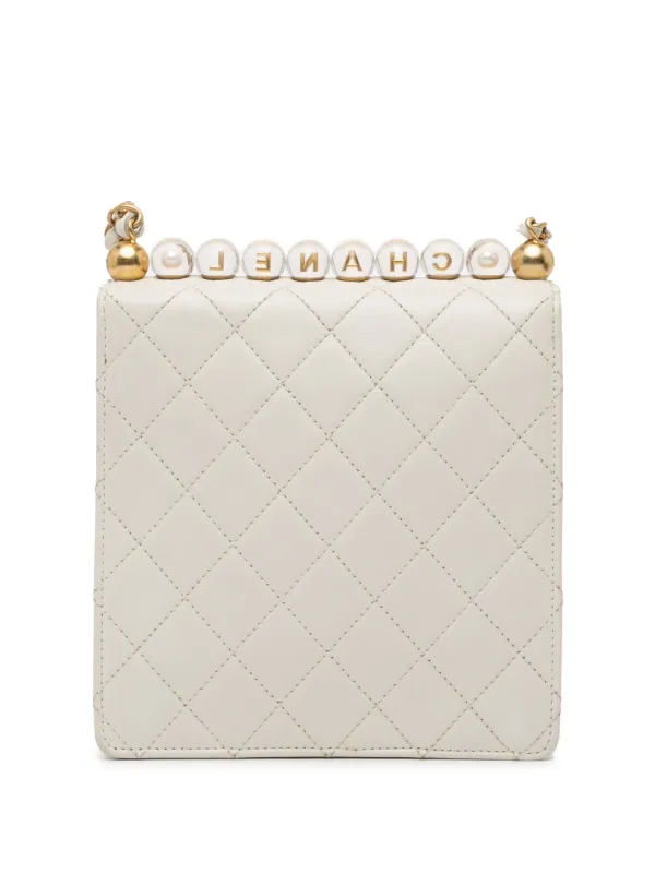 Chanel acrylic bag hotsell