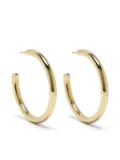 LEMAIRE plated earrings - Gold