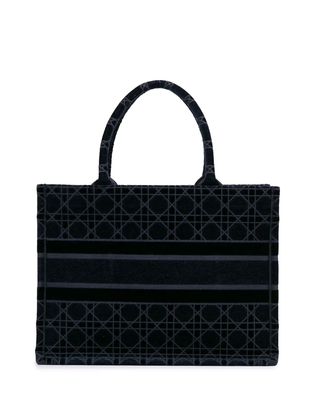 Dior book tote blue cannage embroidered velvet 2025