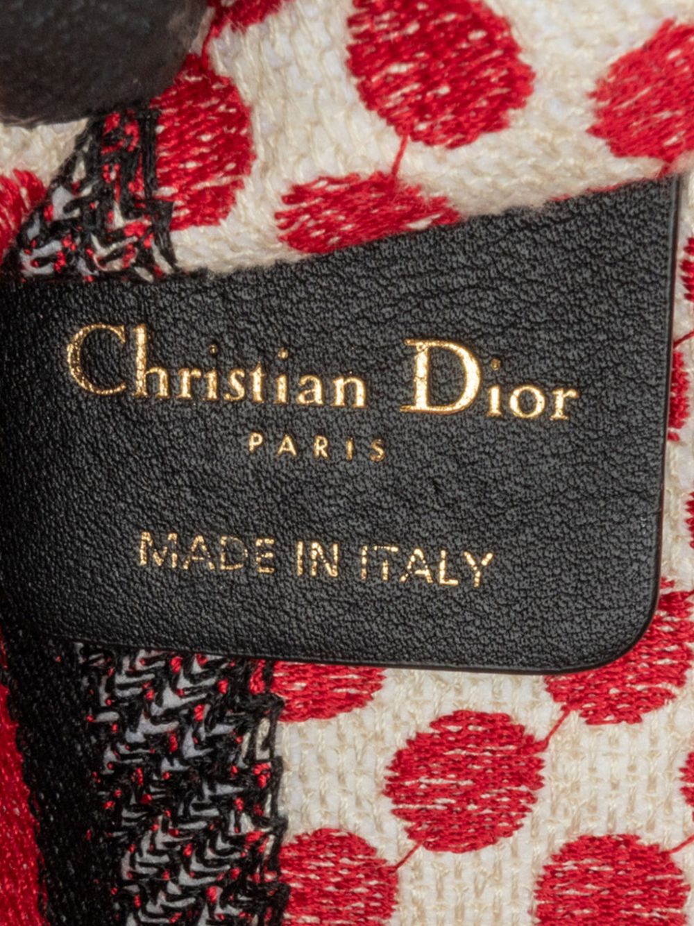 Christian Dior 2020 Mini Dioramour Book tote bag Women