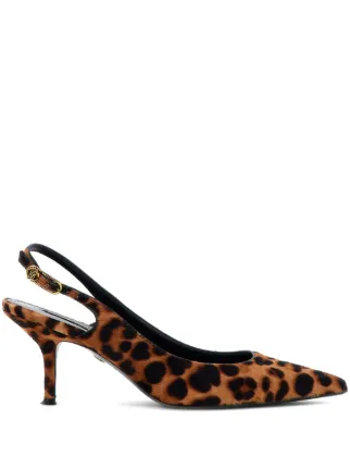 Roberto Cavalli
