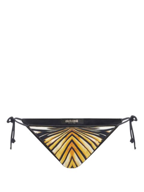 Roberto Cavalli Swimsuits – Swimwear – Farfetch