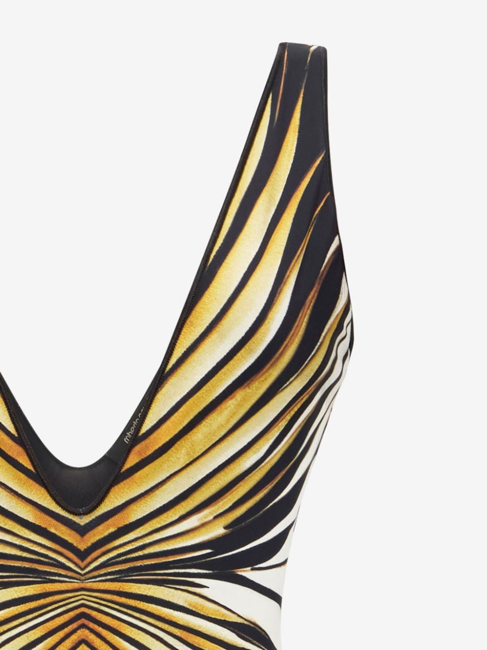 Roberto Cavalli Ray of Gold-print swimsuit - Goud