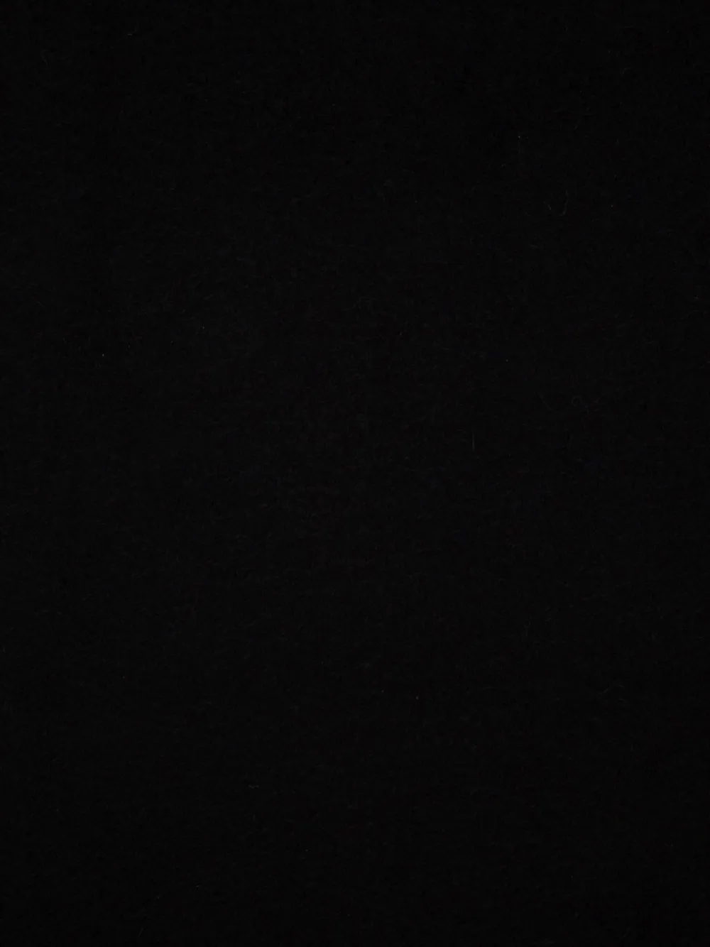 Loro Piana Logo-embroidered Scarf In Black
