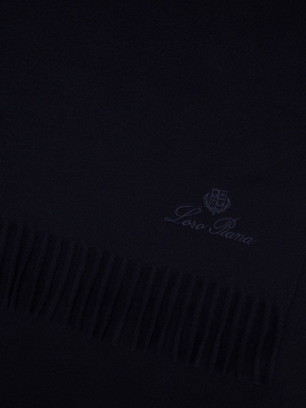 Loro Piana logo-embroidered cashmere scarf - Blauw