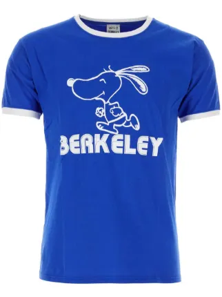 Wild Donkey