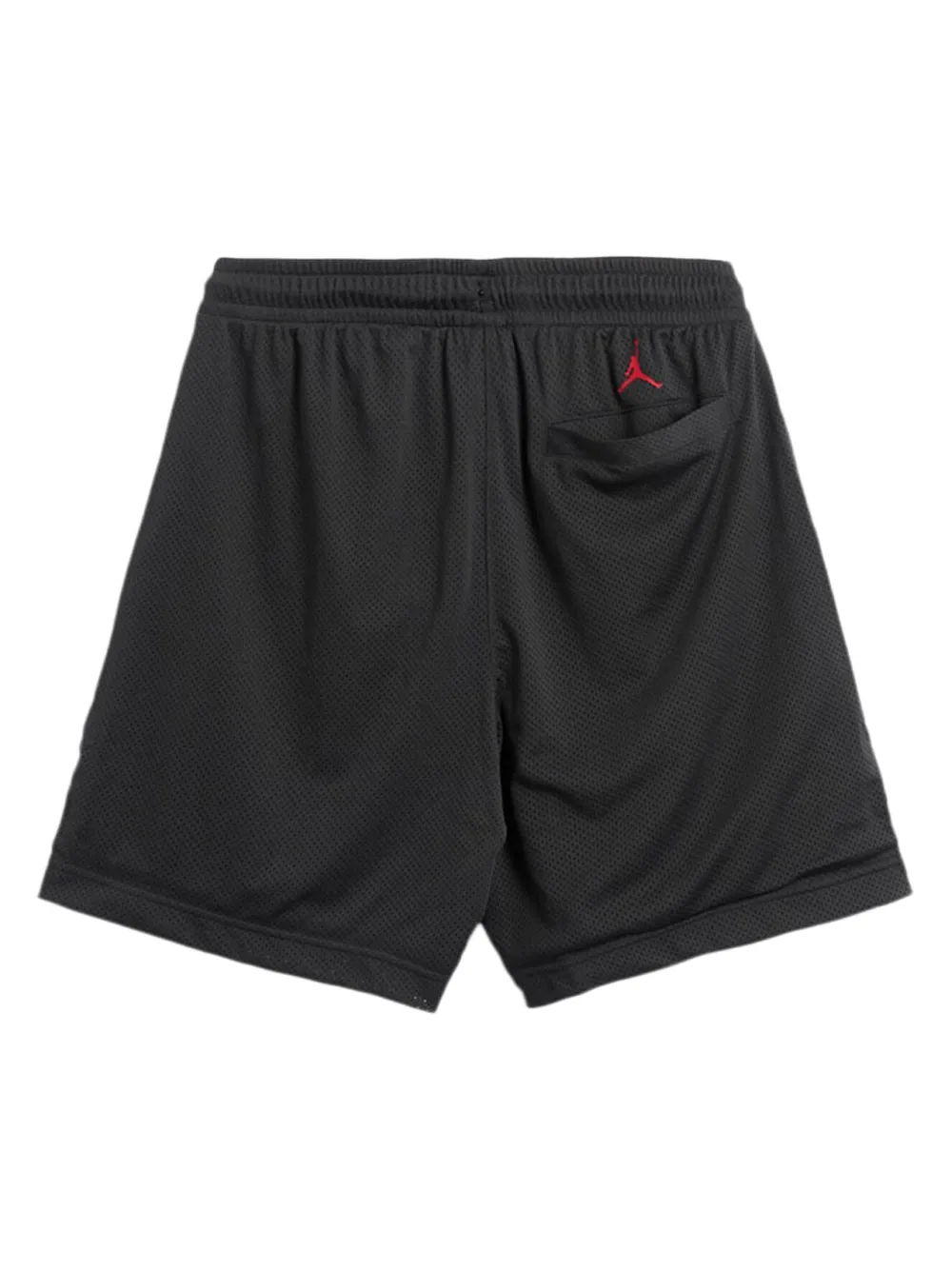 Jordan x Darien Birks Jordan Artist Series shorts - Grijs