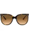 Ray-Ban Cats 1000 sunglasses - Brown