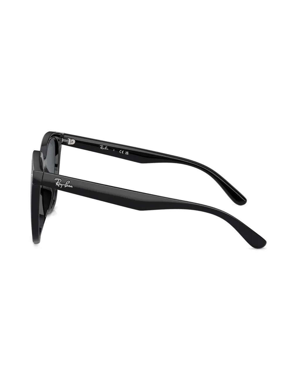 Ray-Ban RB4423D zonnebril Zwart