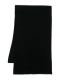 Allude cashmere scarf - Black