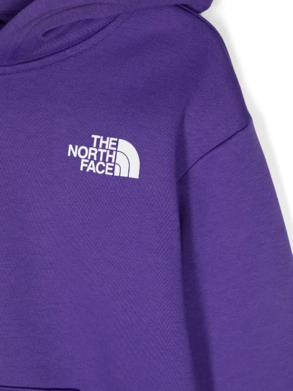 Purple north face hoodie mens online