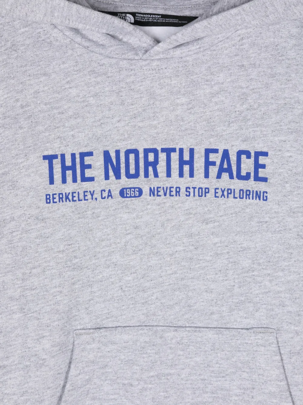 The North Face Kids Katoenen hoodie met logoprint Grijs