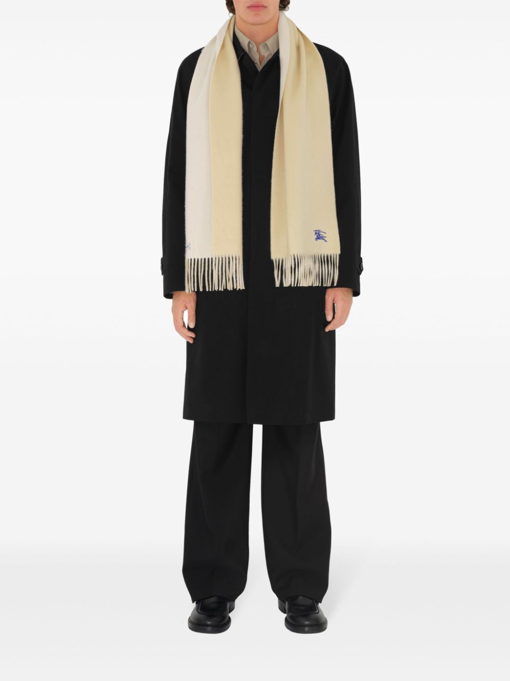 Burberry reversible cashmere scarf Men