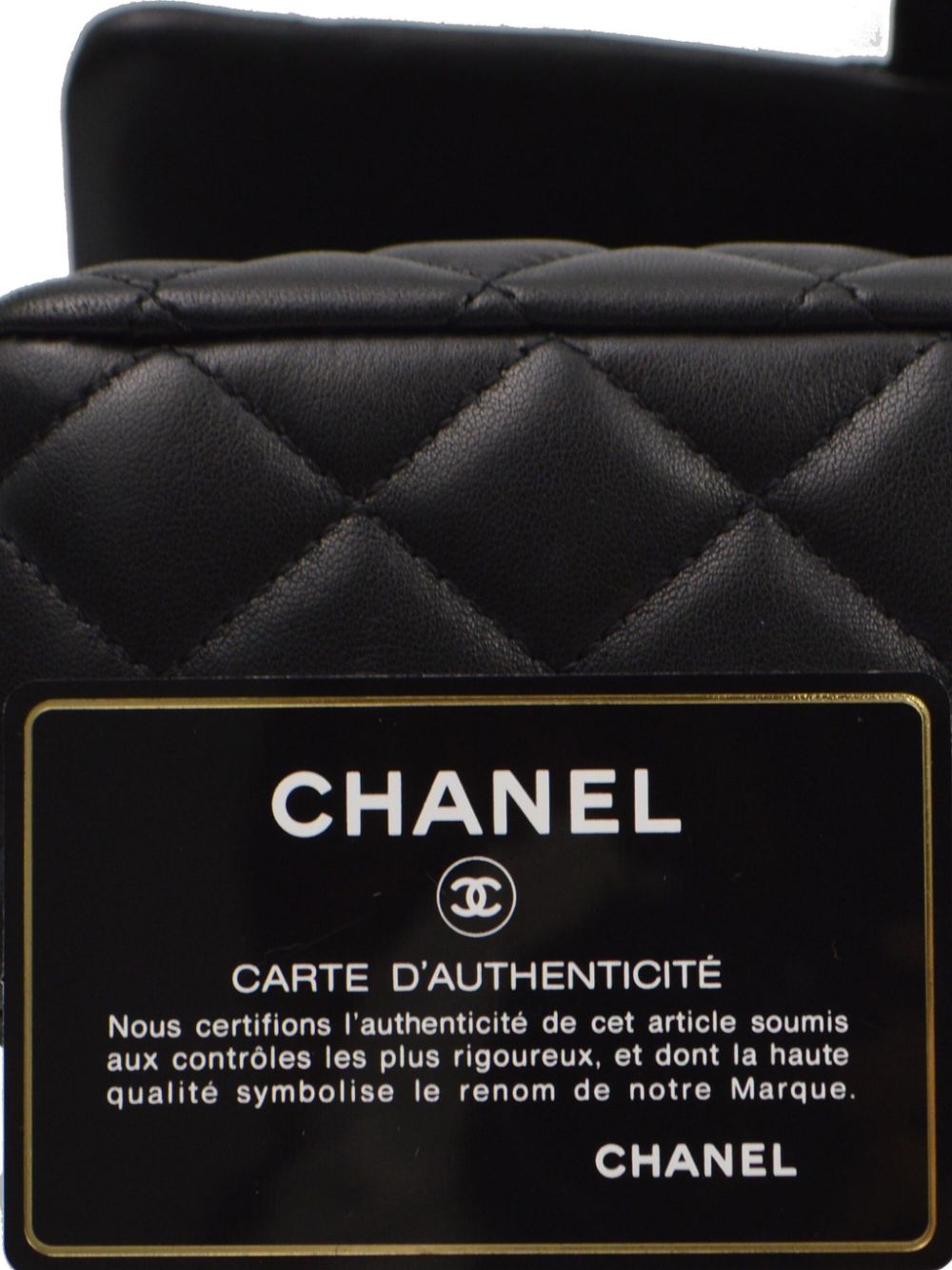 CHANEL 2010 medium Ladybug Single Flap shoulder bag Women