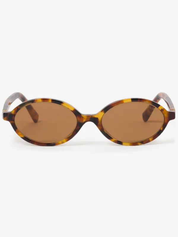 Miu Miu Brown Tortoise Regard Sunglasses Miu Miu Regard Havana Sunglasses With Brown Lenses | MU 11ZS  main image 4