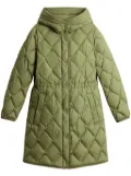 Woolrich Heritage parka - Green