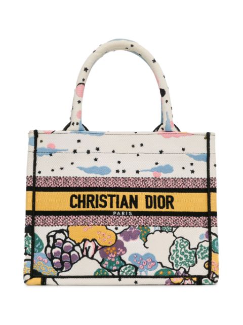 Christian Dior 2022 Small Ciel de Reve Book tote bag Women