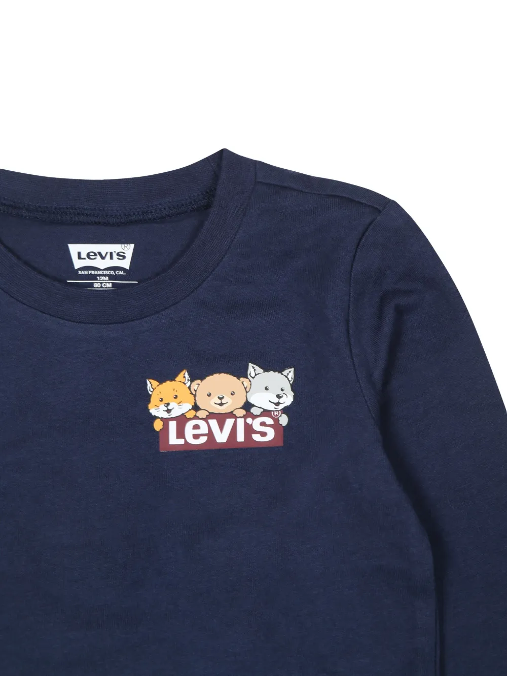 Levi's Kids Sweater met Hiking Icons-print Blauw