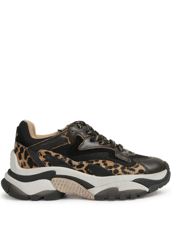 Ash leopard sneakers online