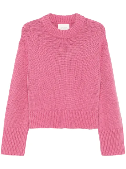 Lisa Yang Sony sweater
