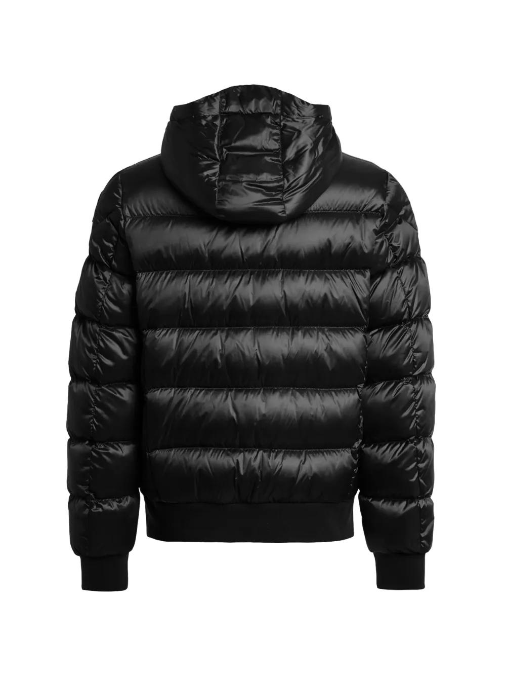 Parajumpers - Pharrel jack - heren - polyamide/polyamide/Polyester/eendendons