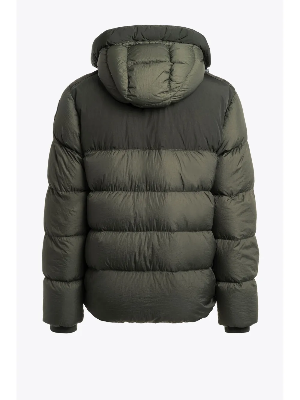 Parajumpers Jack met capuchon en logopatch Groen