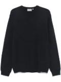 Carhartt WIP Alten sweater - Black