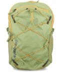 Patagonia Refugio Day 30L backpack - Green