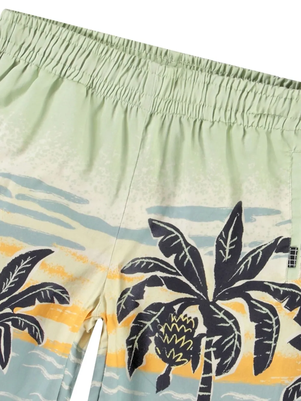 Molo Adi shorts Groen