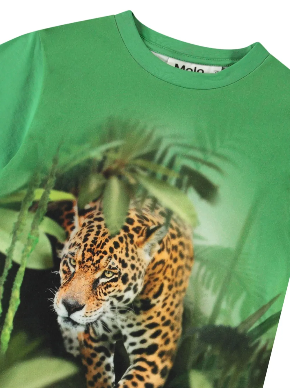 Molo Riley T-shirt Groen