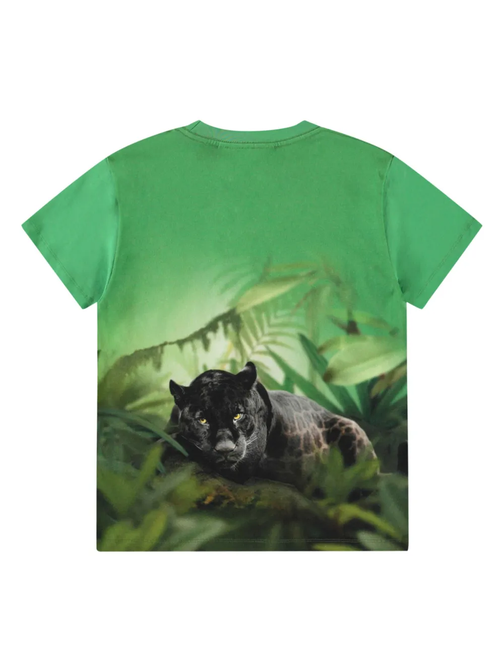 Molo Riley T-shirt - Groen