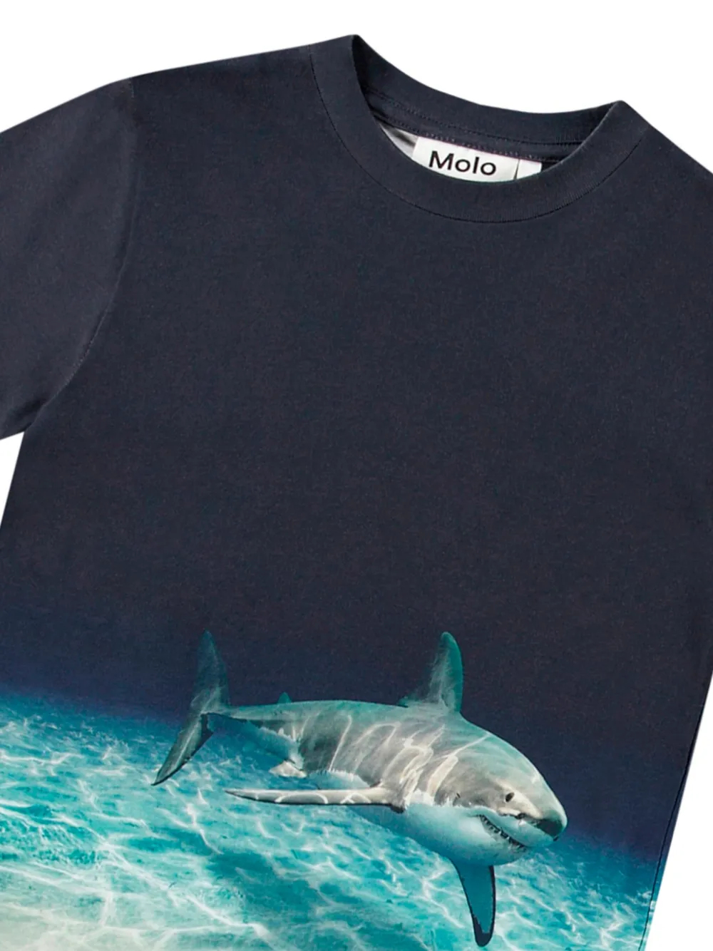 Molo T-shirt van biologisch katoen met grafische print Blauw