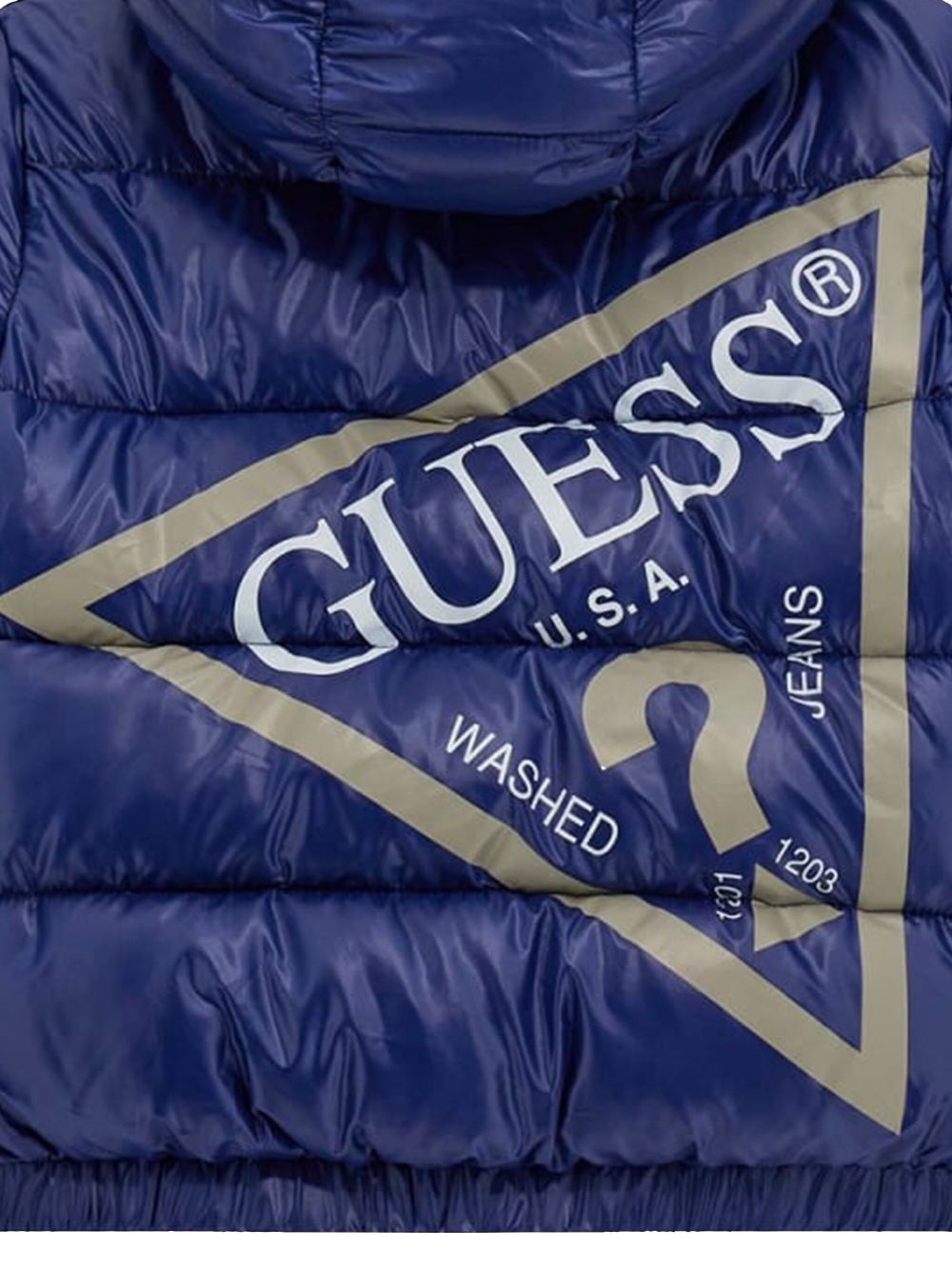 Shop Guess Logo-print Padded Jacket In 蓝色