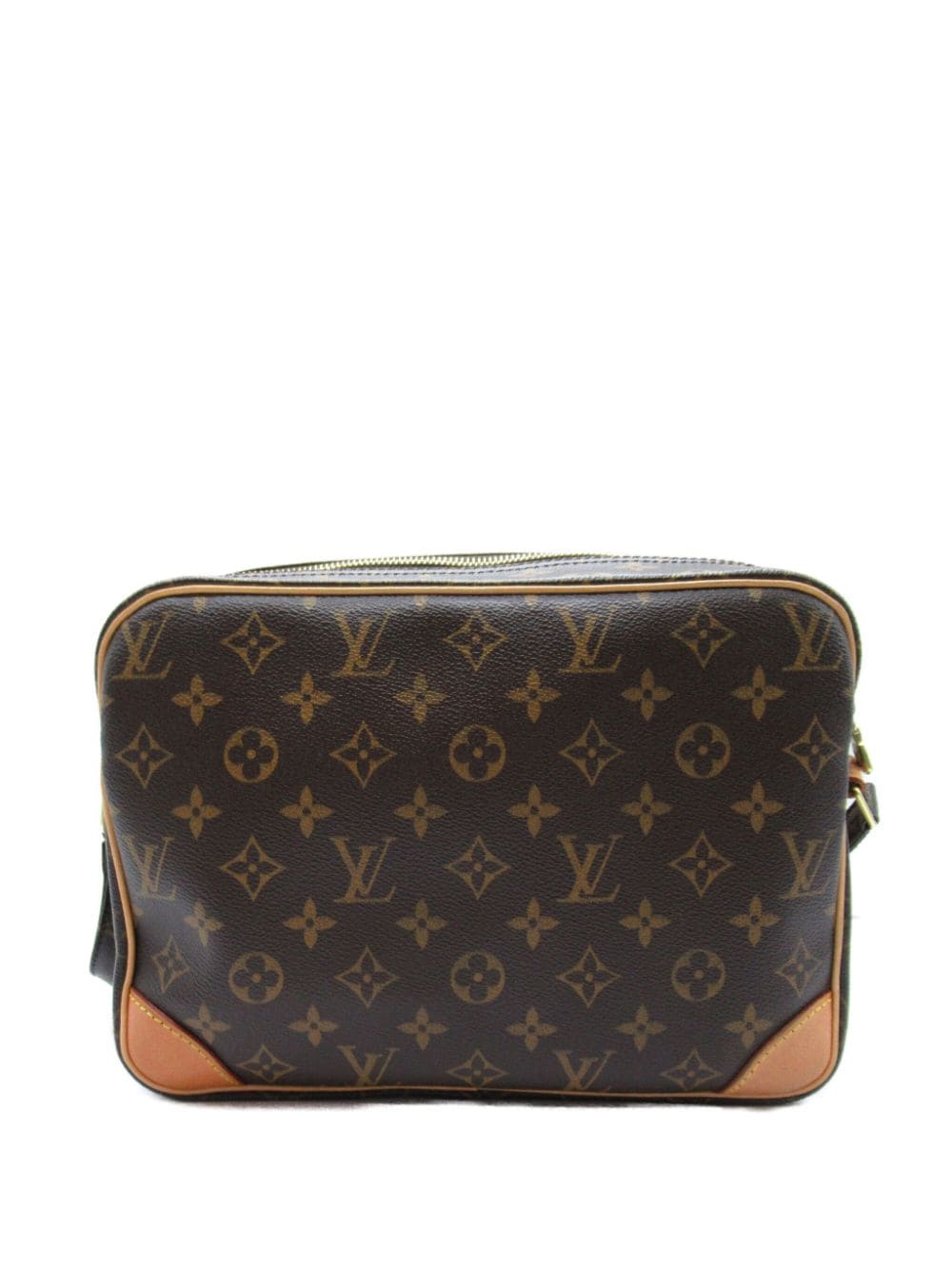 Louis Vuitton Pre-Owned 2009 Nile shoulder bag - Bruin