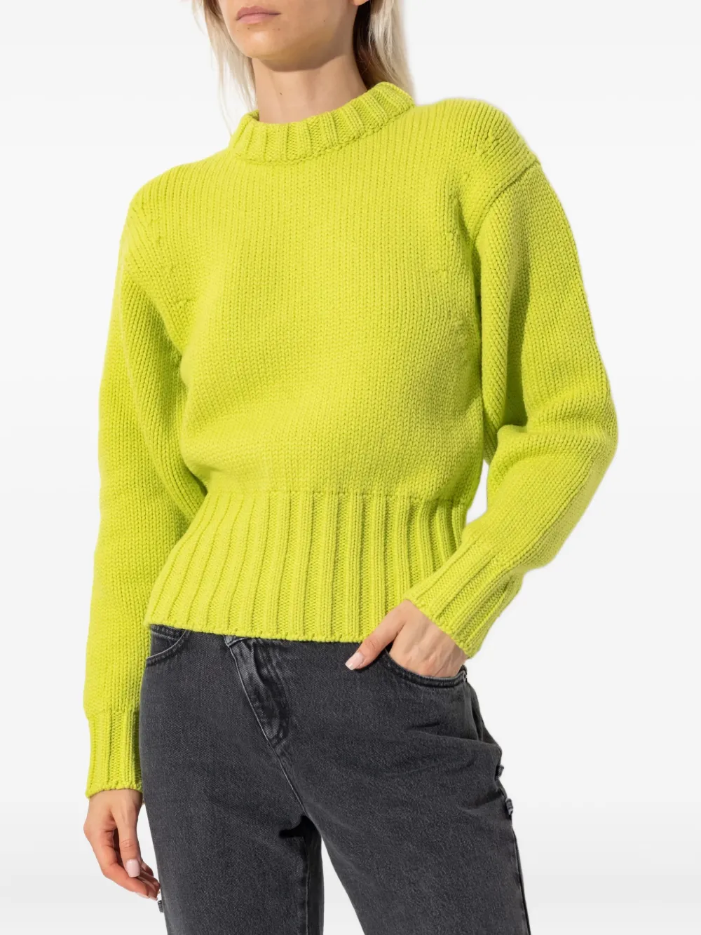 Alexander McQueen crew-neck sweater | Knitted Sweaters | Image 2