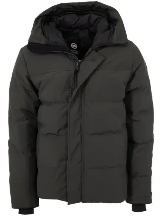Canada Goose