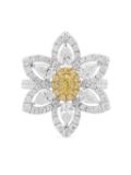 HYT Jewelry 18kt white gold yellow diamond ring - Silver