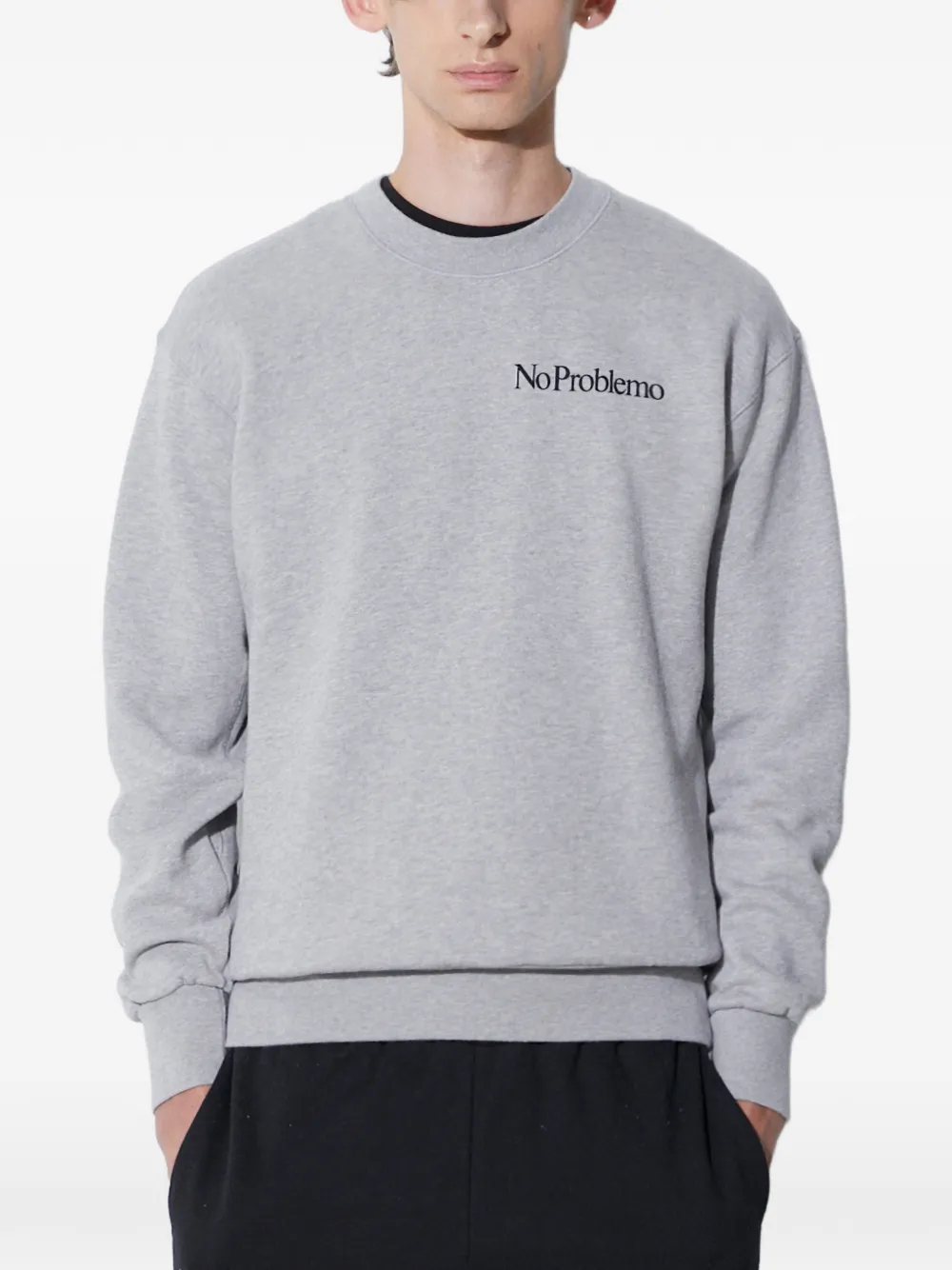 Aries crew-neck sweatshirt - Grau