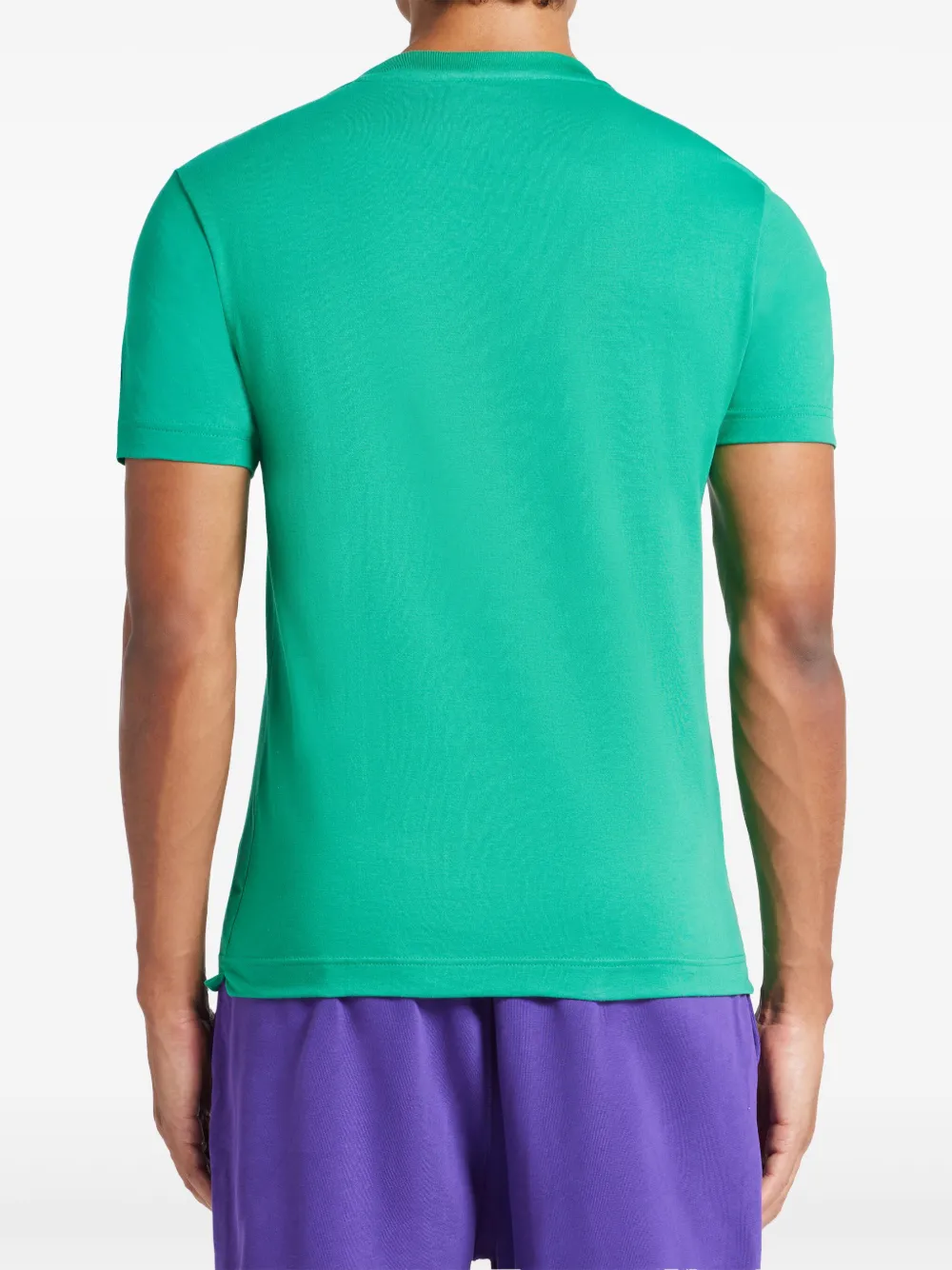 Lacoste x Novak Djokovic T-shirt met print Groen