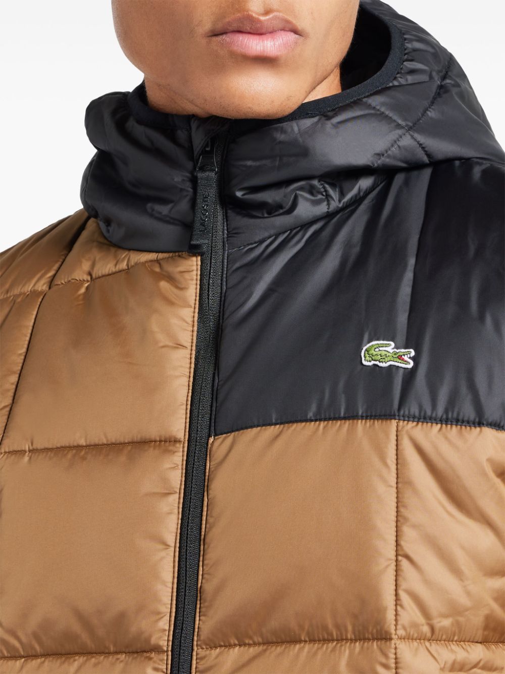 Shop Lacoste Padded Hooded Jacket In Neutrals