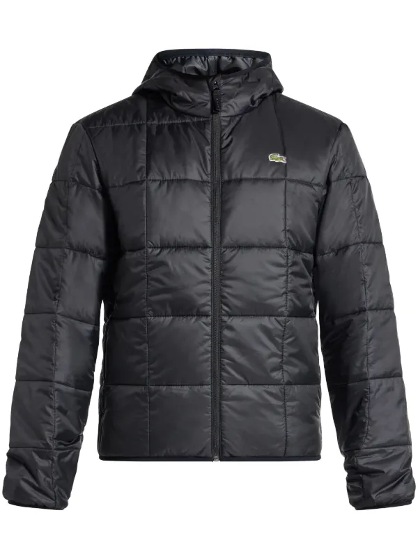 Lacoste padded jacket mens discount