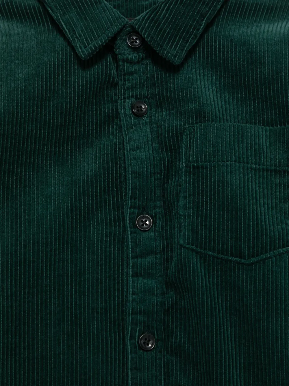 Scotch & Soda Ribfluwelen shirt Groen
