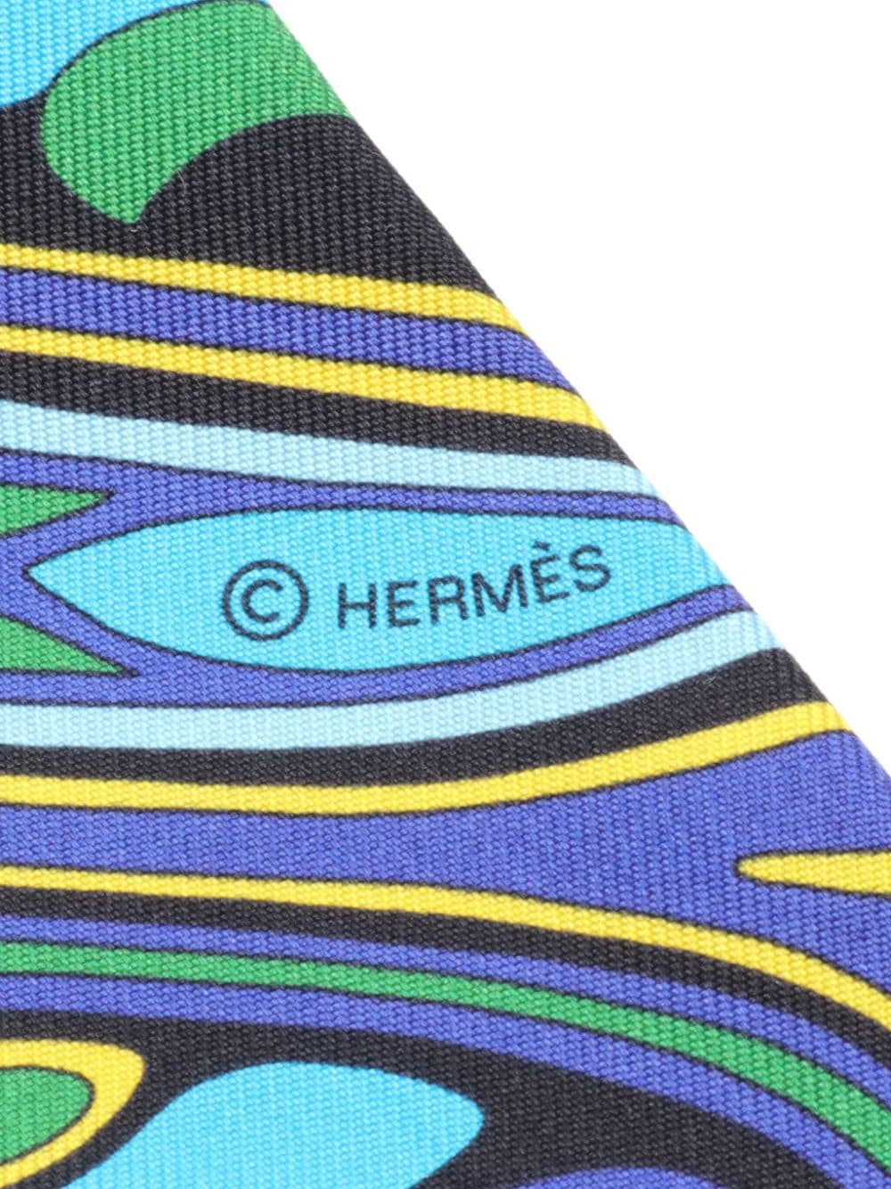 Hermès Pre-Owned 2010s Twilly Folklore scarf - Zwart