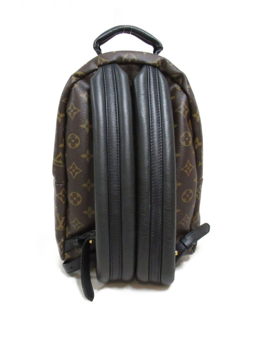 Louis Vuitton Pre-Owned 2017 Palm Springs PM rugzak - Bruin