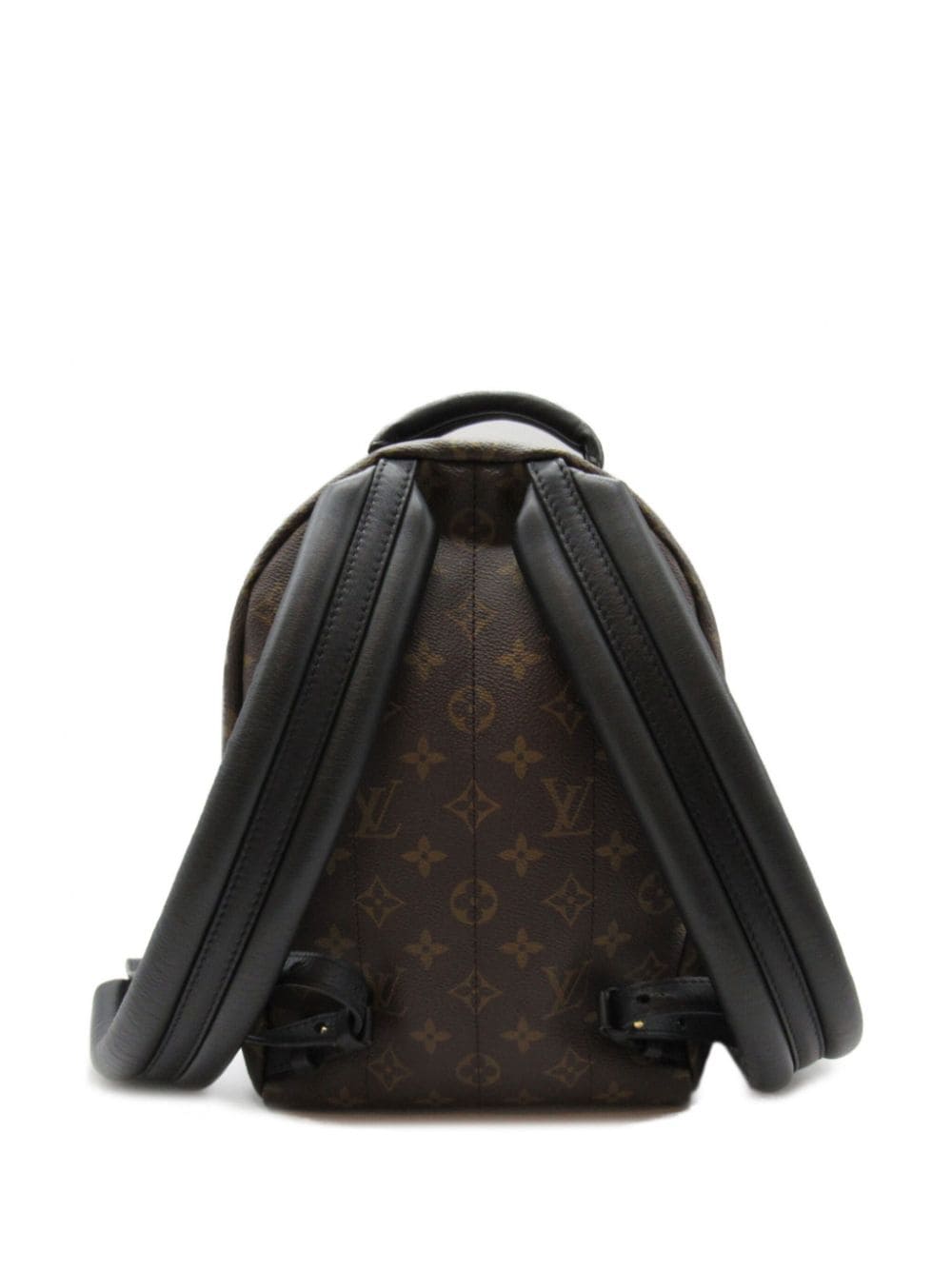 Louis Vuitton Pre-Owned 2019 Palm Springs PM backpack - Bruin