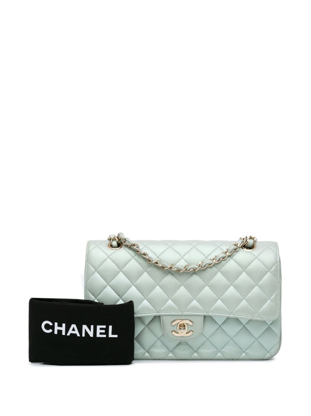 CHANEL Pre-Owned 2019 Medium Classic Iridescent Lambskin Double Flap shoulder bag WOMEN