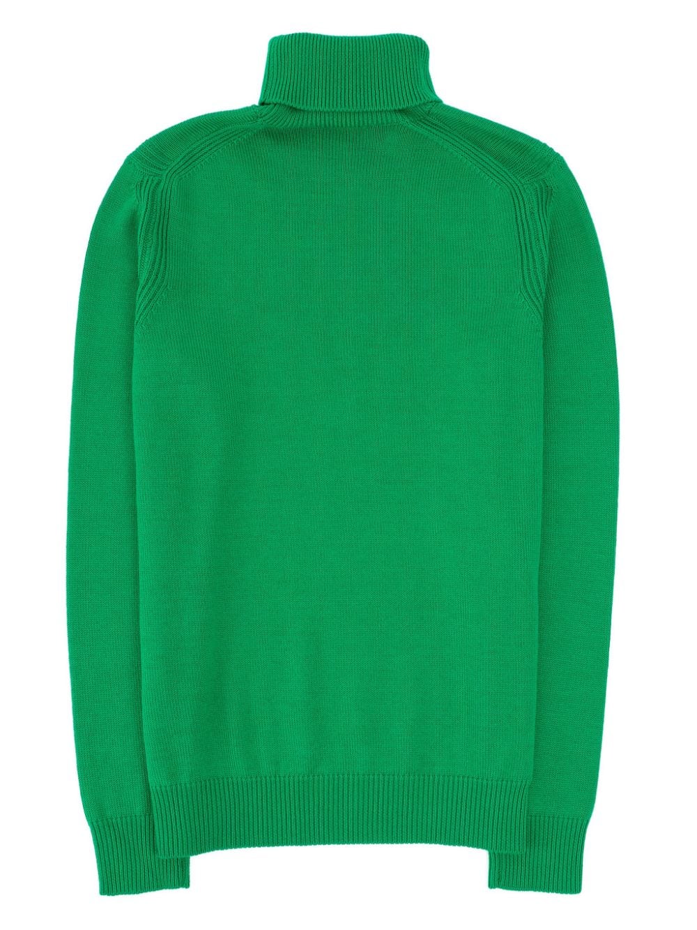 Shop Roberto Collina Roll-neck Jumper In 绿色