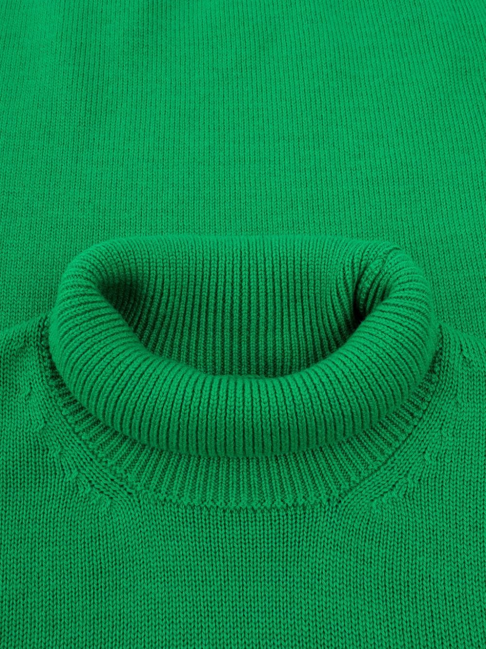 Shop Roberto Collina Roll-neck Jumper In 绿色