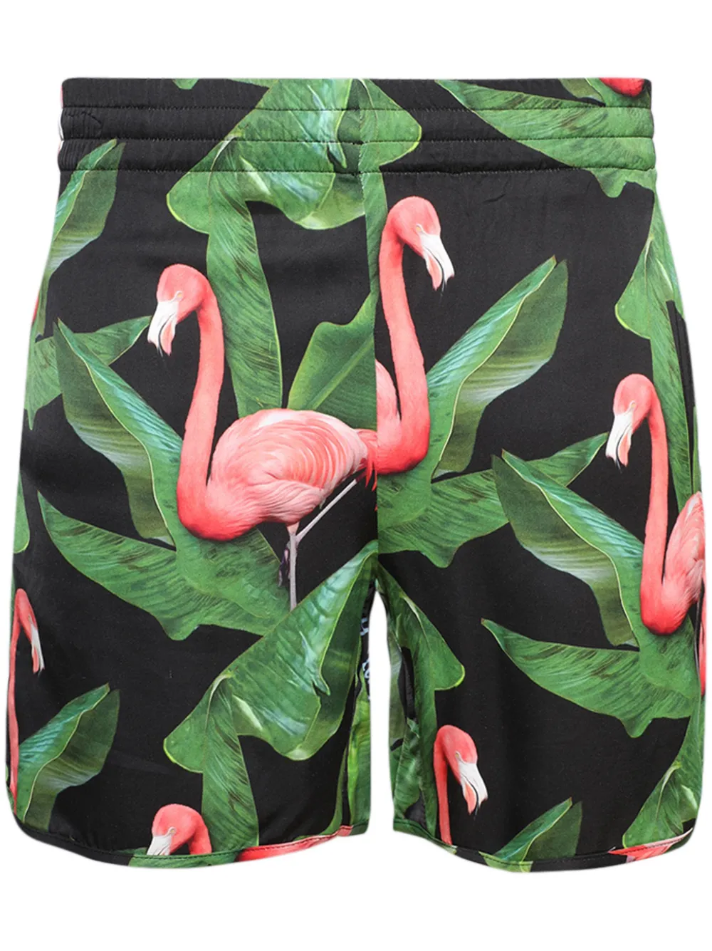 BLUE SKY INN bermudas Flamingo | verde | Image 1