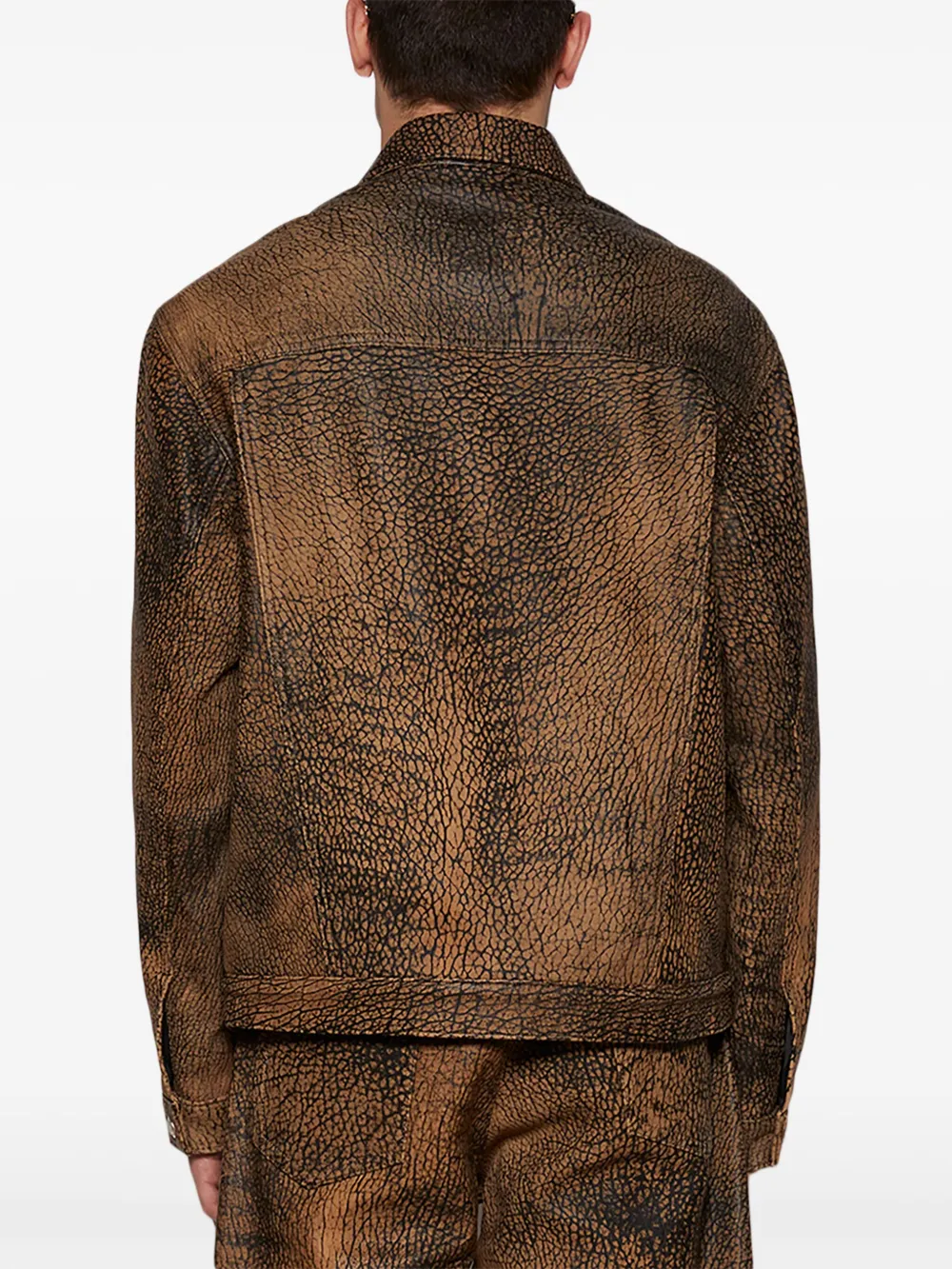 MISBHV Safari jack Bruin